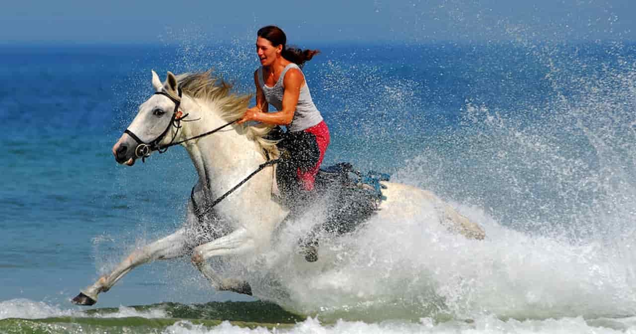 28 Romantic Escapes In Wilmington NC Ideal Date Ideas 2 e1724219818545