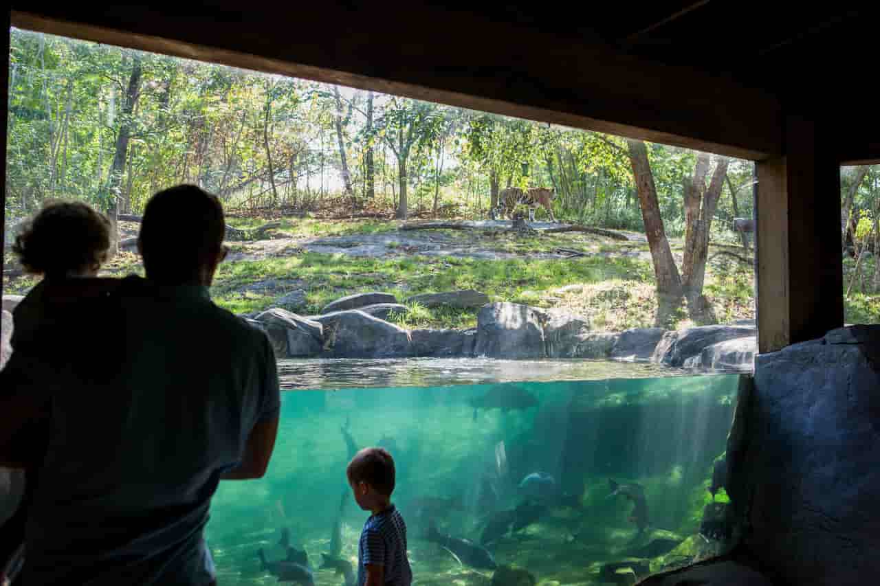 Bronx Zoo NYC