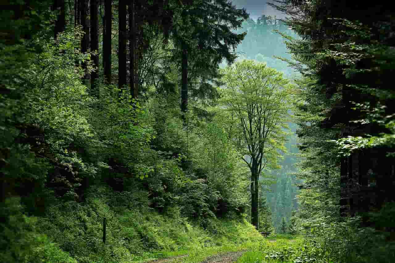Embrace The Outdoors
