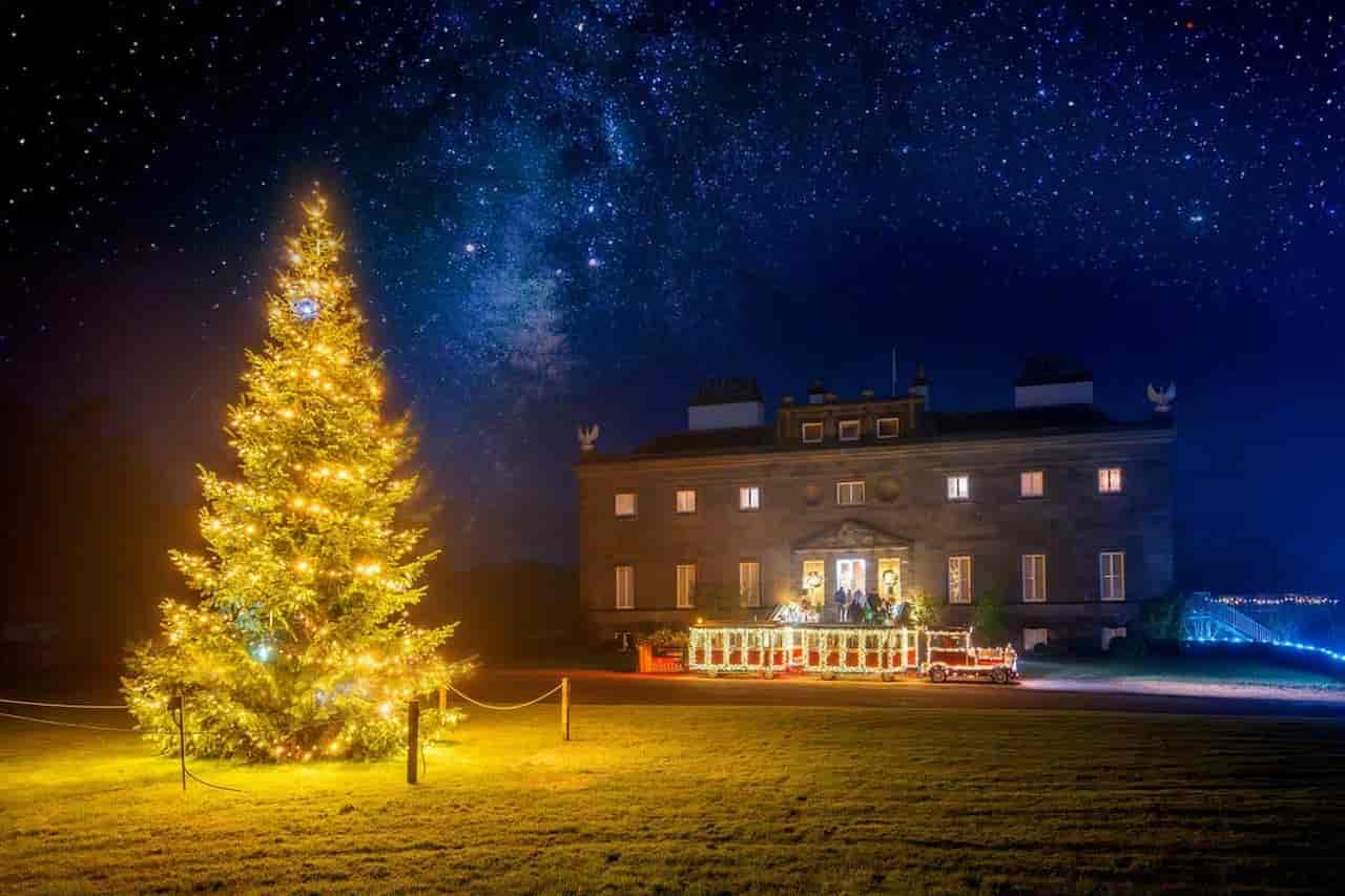 Enjoy the Annual Christmas Tree Lighting
