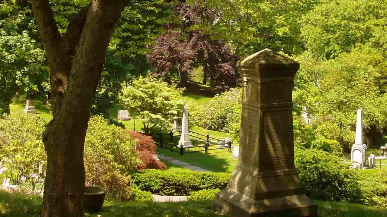 Explore Mount Auburn Cemetery