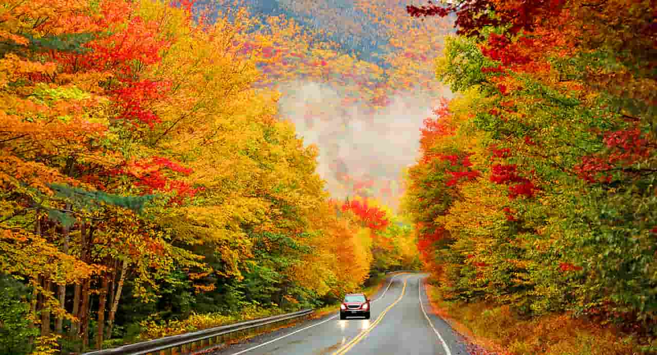 Take a Foliage Road Trip