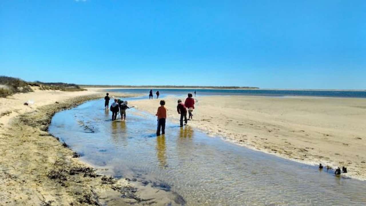 Wasque Beach