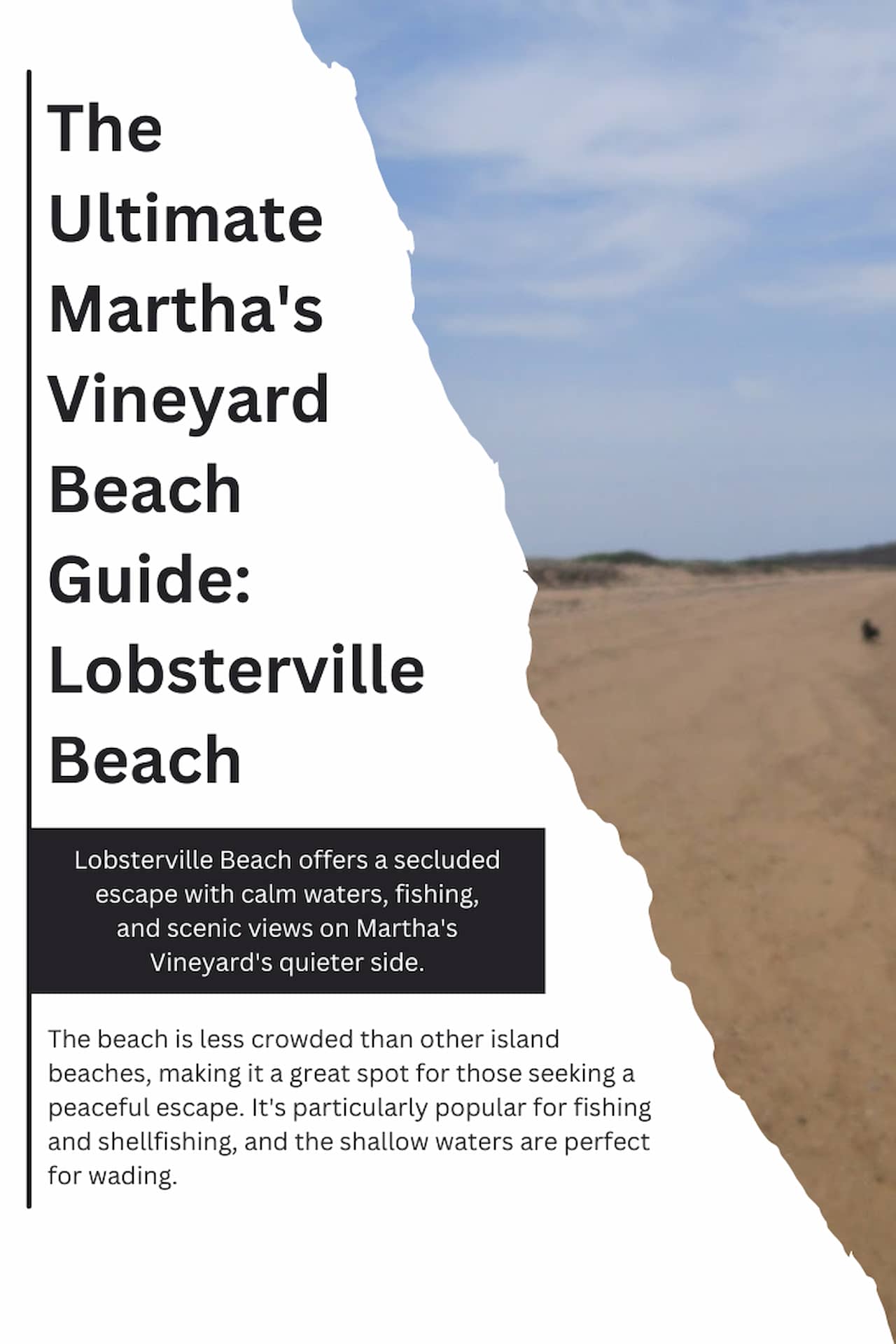 The Ultimate Marthas Vineyard Beach Guide Lobsterville Beach