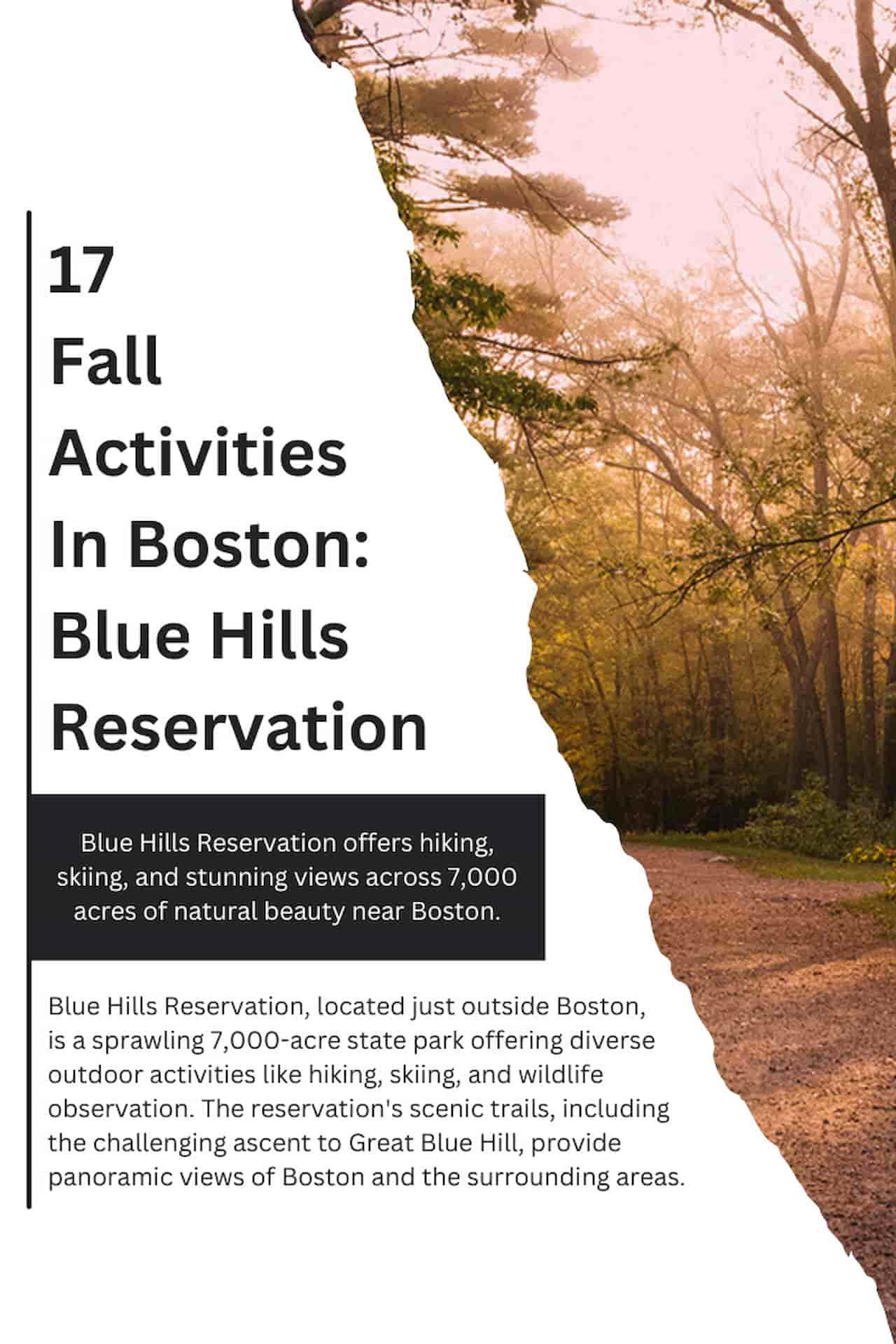 17 Fall Activities In Boston Blue Hills Reservation