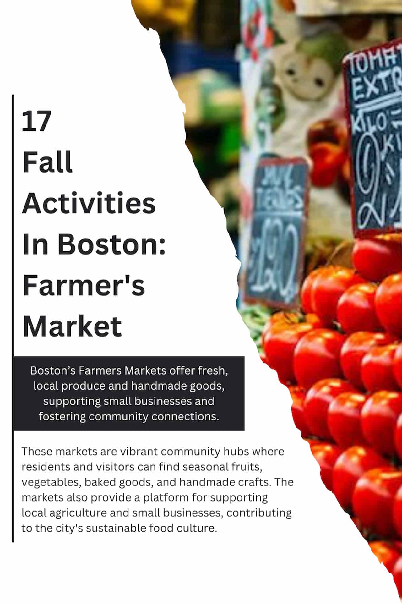 17 Fall Activities In Boston Farmers Market