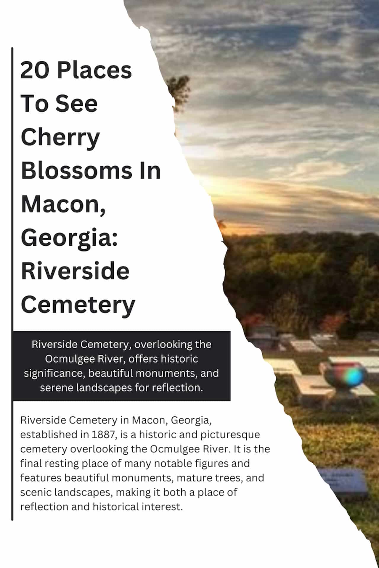20 Places To See Cherry Blossoms In Macon Georgia Riverside Cemetery