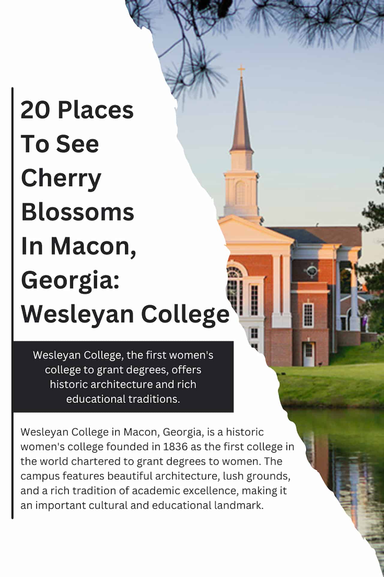 20 Places To See Cherry Blossoms In Macon Georgia Wesleyan College