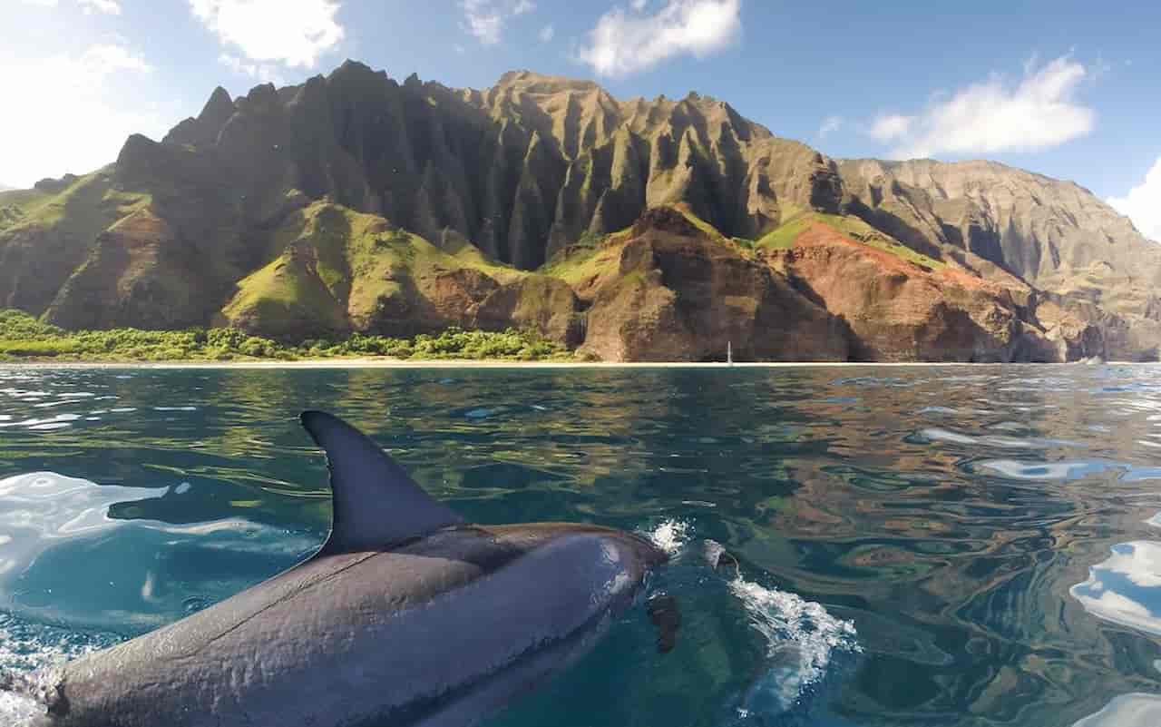 What Is The Best Island To Visit In Hawaii For First Time Napali Coast State Wilderness Park