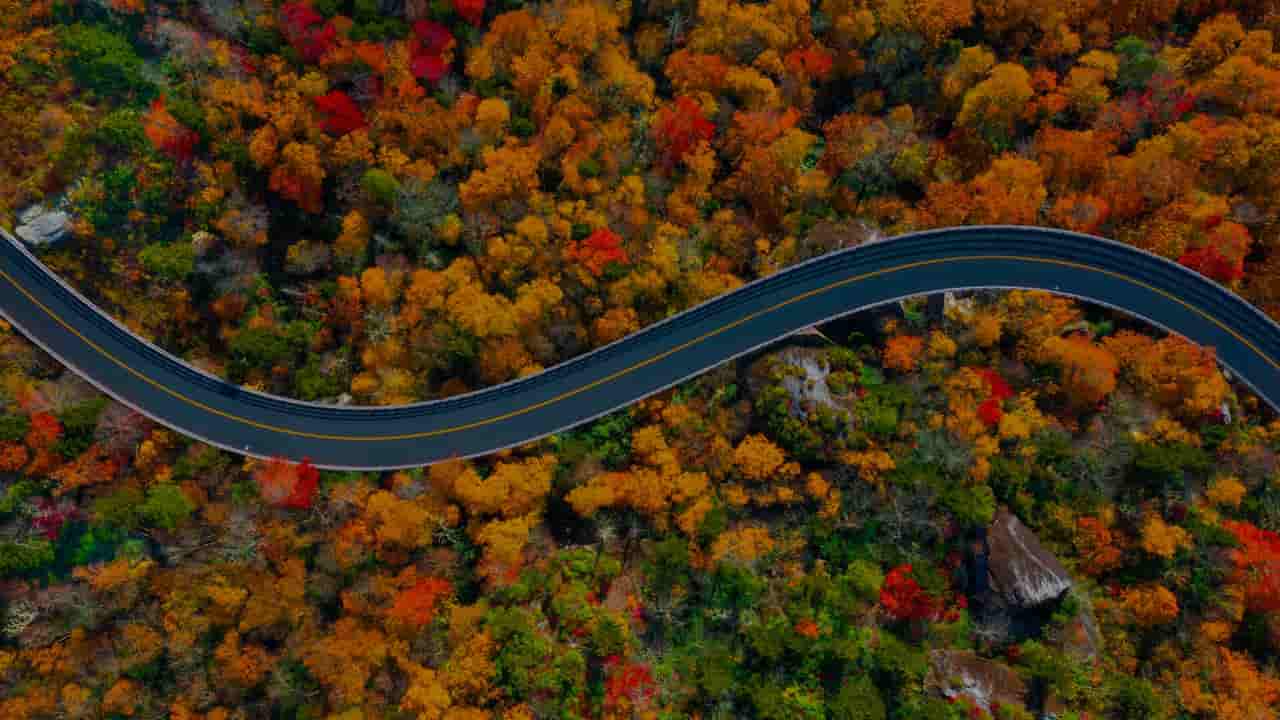 What Is The Best Time To Visit The Biltmore Blue Ridge Parkway