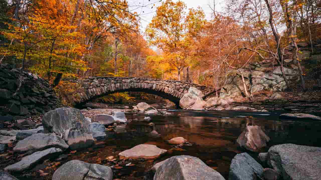 When Is Best Time To Visit Washington DC Fall