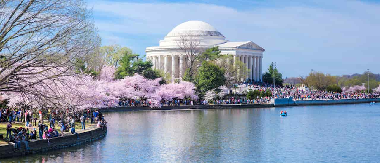 When Is Best Time To Visit Washington DC Spring