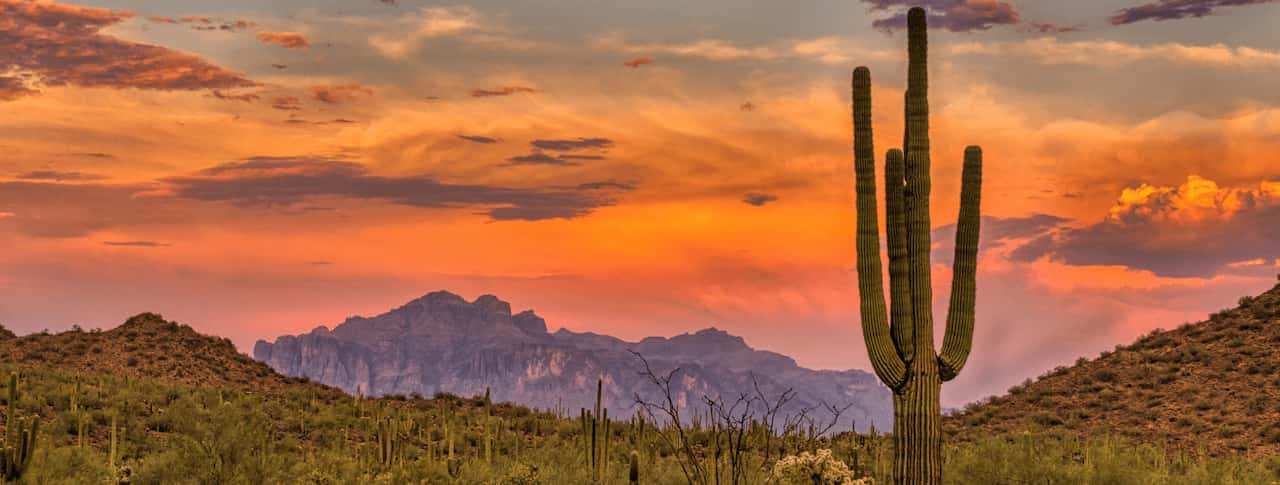 When Is The Best Time To Visit Arizona Saguaro National Park