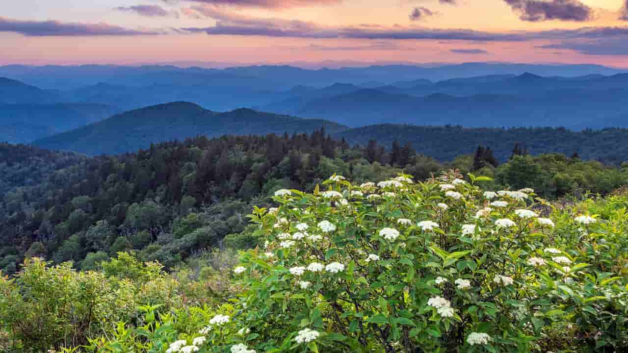 When Is The Best Time To Visit Dollywood Great Smoky Mountains National Park