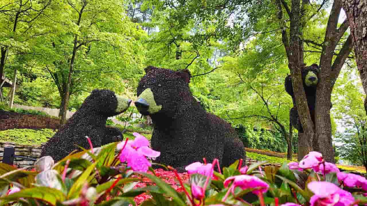 When Is The Best Time To Visit Dollywood Spring