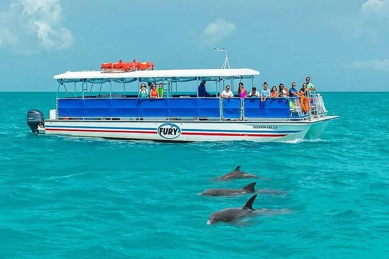 When Is The Best Time To Visit Florida Keys Dolphin Watching