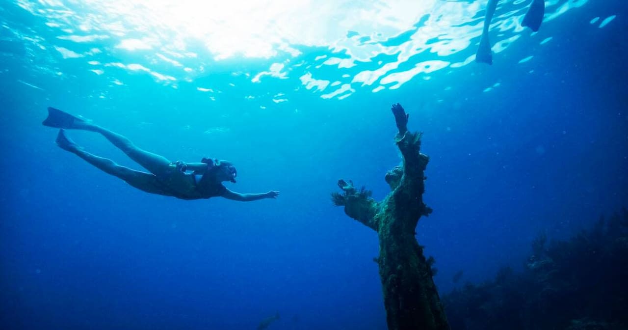 When Is The Best Time To Visit Florida Keys John Pennekamp Coral Reef State Park
