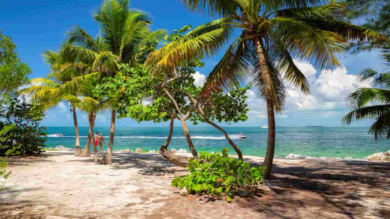 When Is The Best Time To Visit Florida Keys Key West