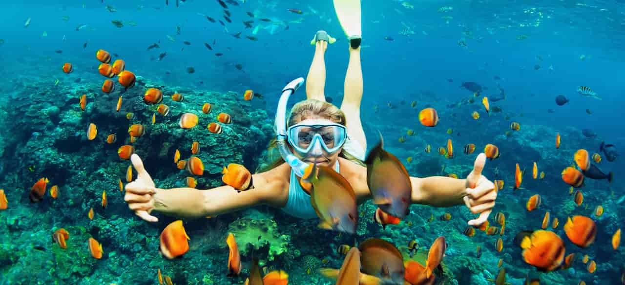 When Is The Best Time To Visit Florida Keys Snorkeling And Diving