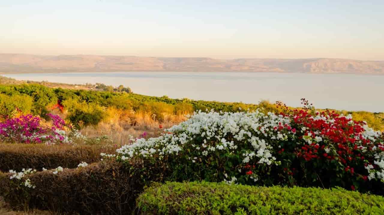 When Is The Best Time To Visit Israel Spring