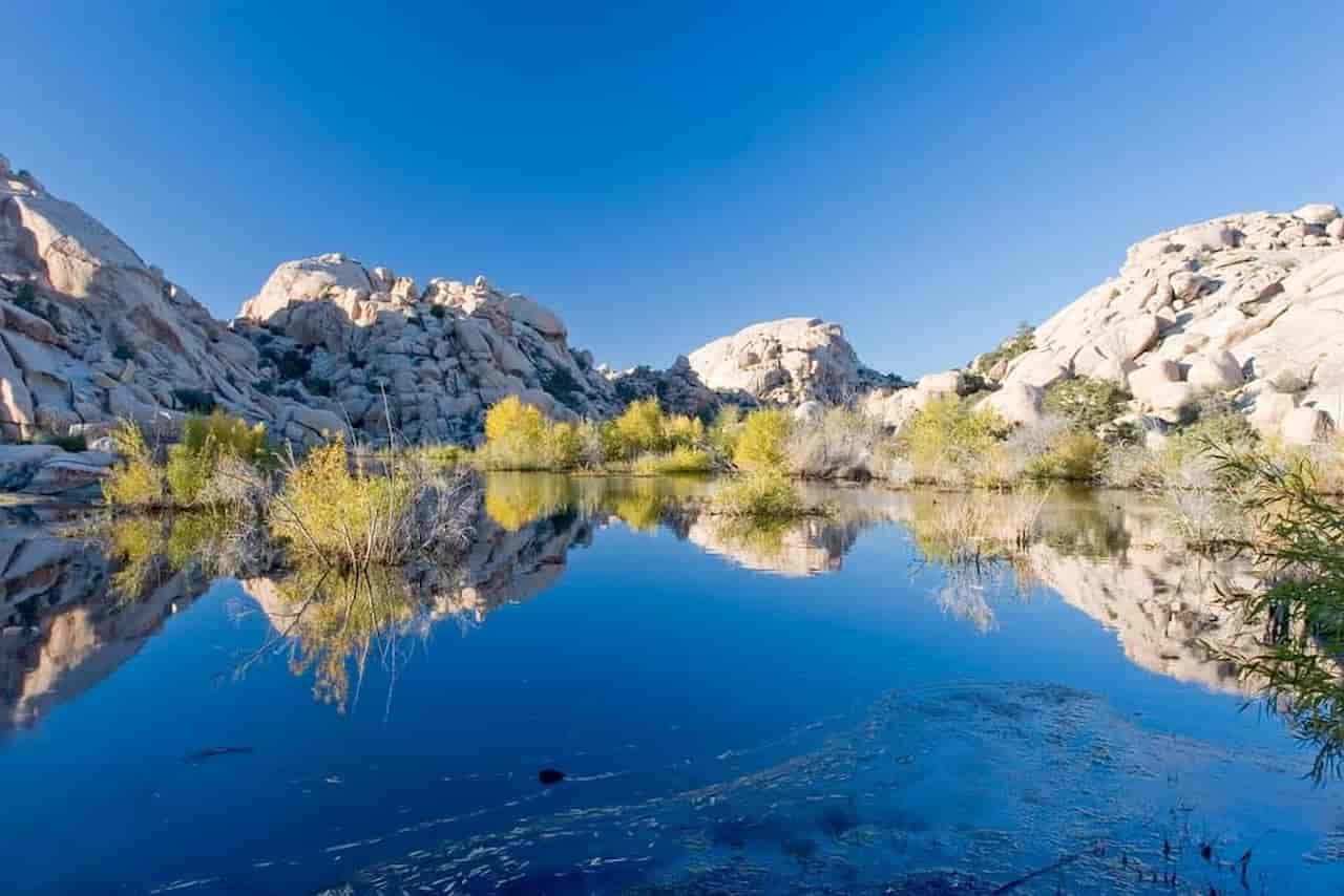 When Is The Best Time To Visit Joshua Tree Palm Springs