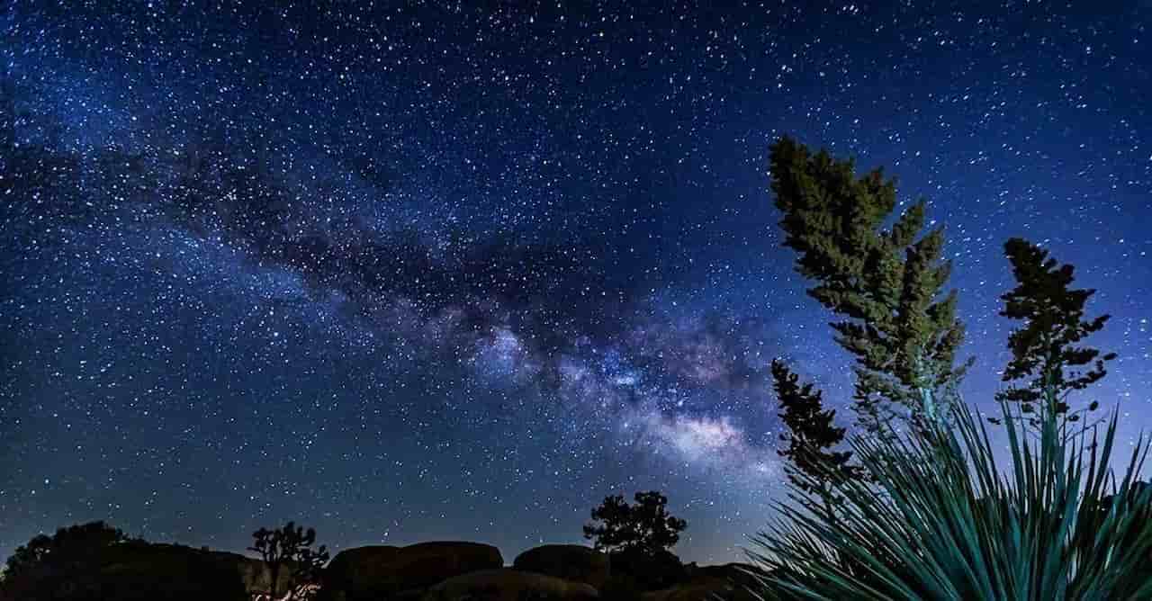 When Is The Best Time To Visit Joshua Tree Stargazing And Night Sky