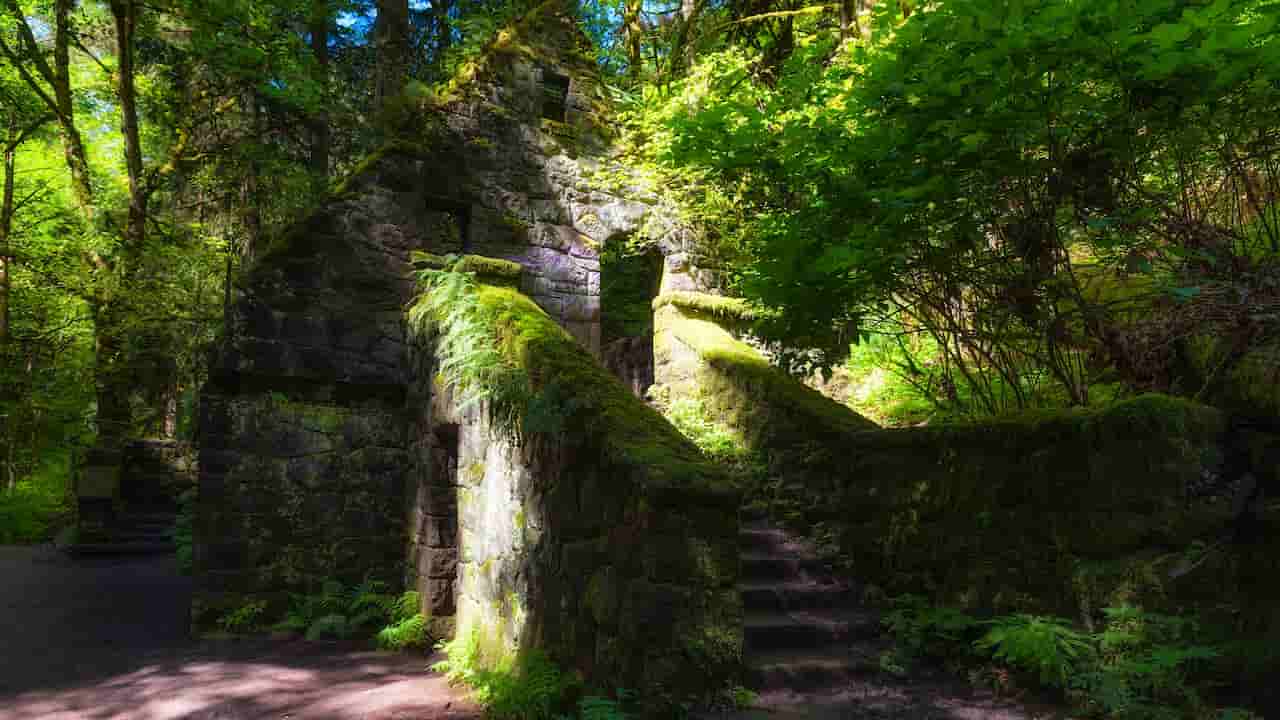 When Is The Best Time To Visit Portland Oregon Forest Park