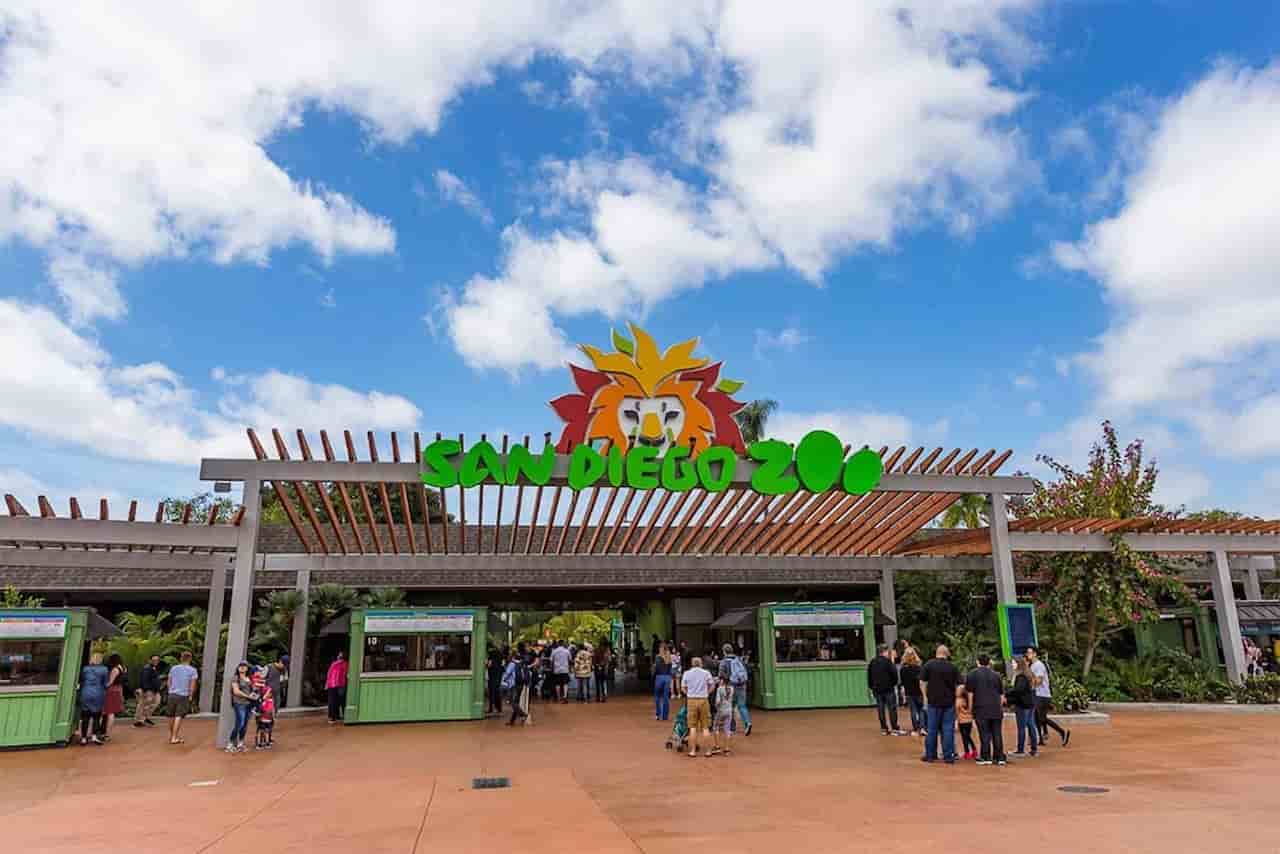 When Is The Best Time To Visit San Diego San Diego Zoo
