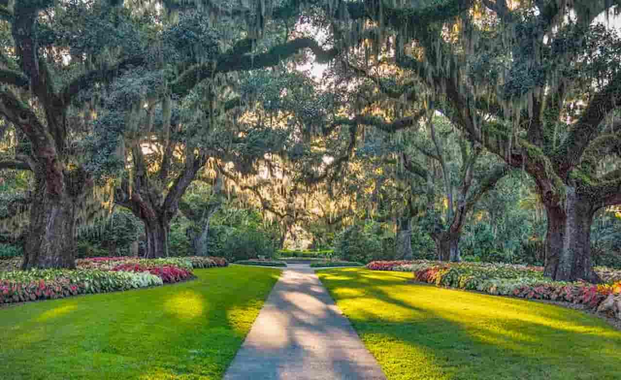 When Is The Best Time To Visit South Carolina FI