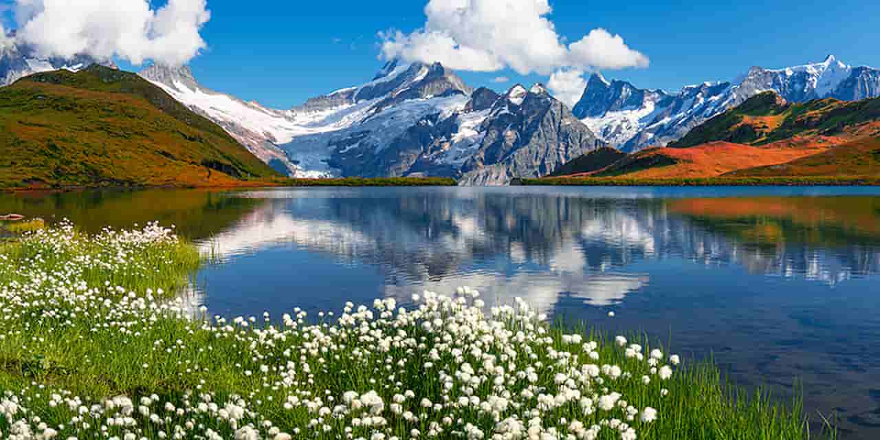When Is The Best Time To Visit Switzerland Spring