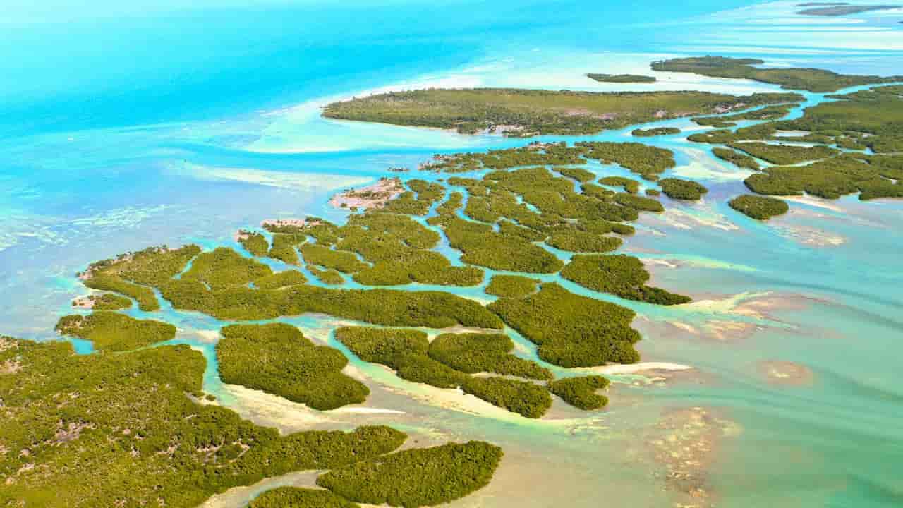 When Is The Best Time To Visit The Florida Keys FI 1
