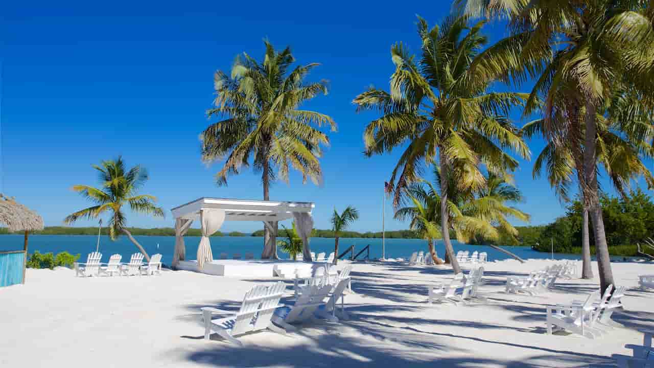 When Is The Best Time To Visit The Florida Keys Islamorada
