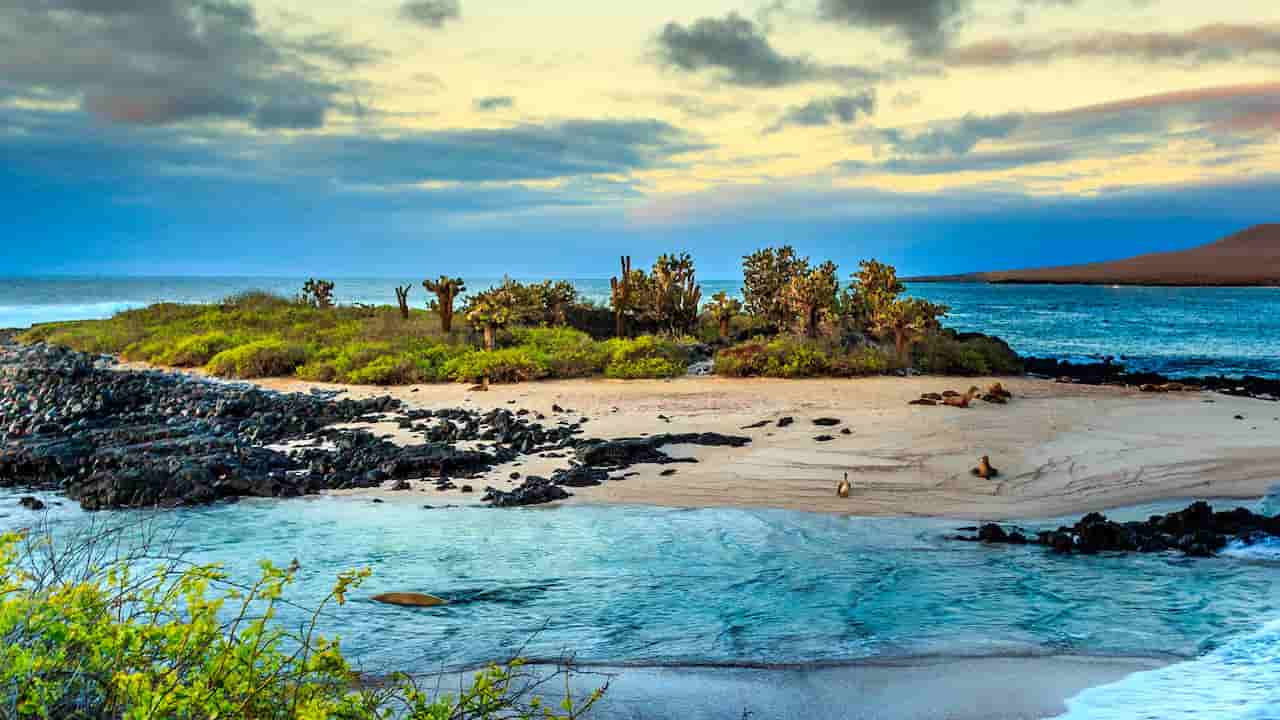 what are the best places to visit in south america The Galapagos Islands