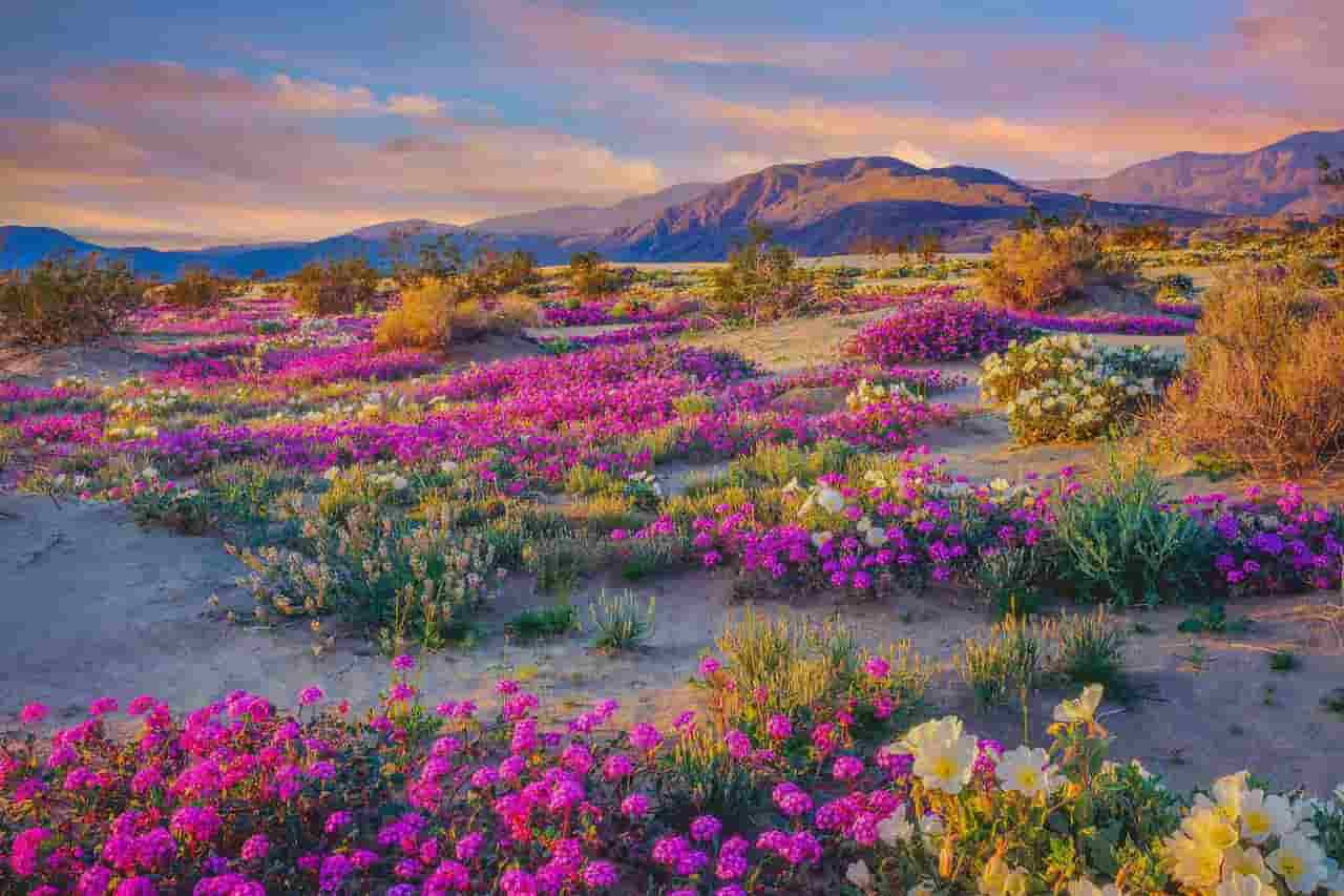 what is the best month to visit san diego Spring