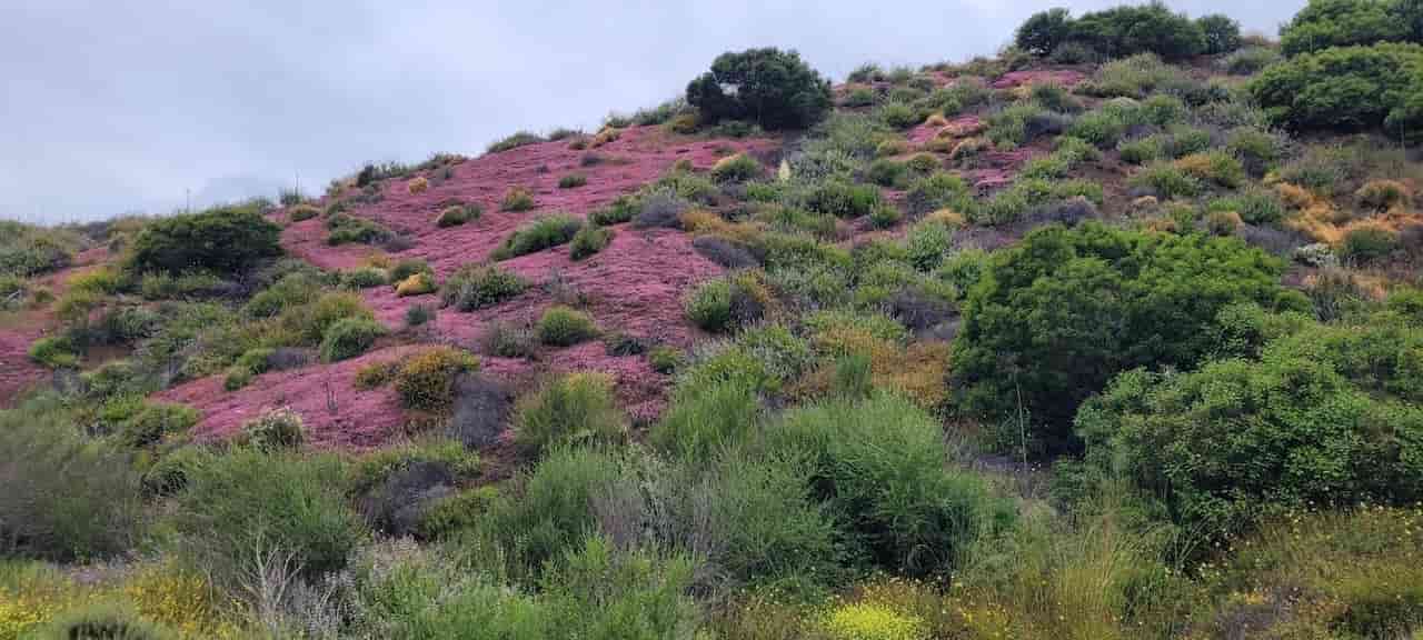 what is the best month to visit santa monica Spring