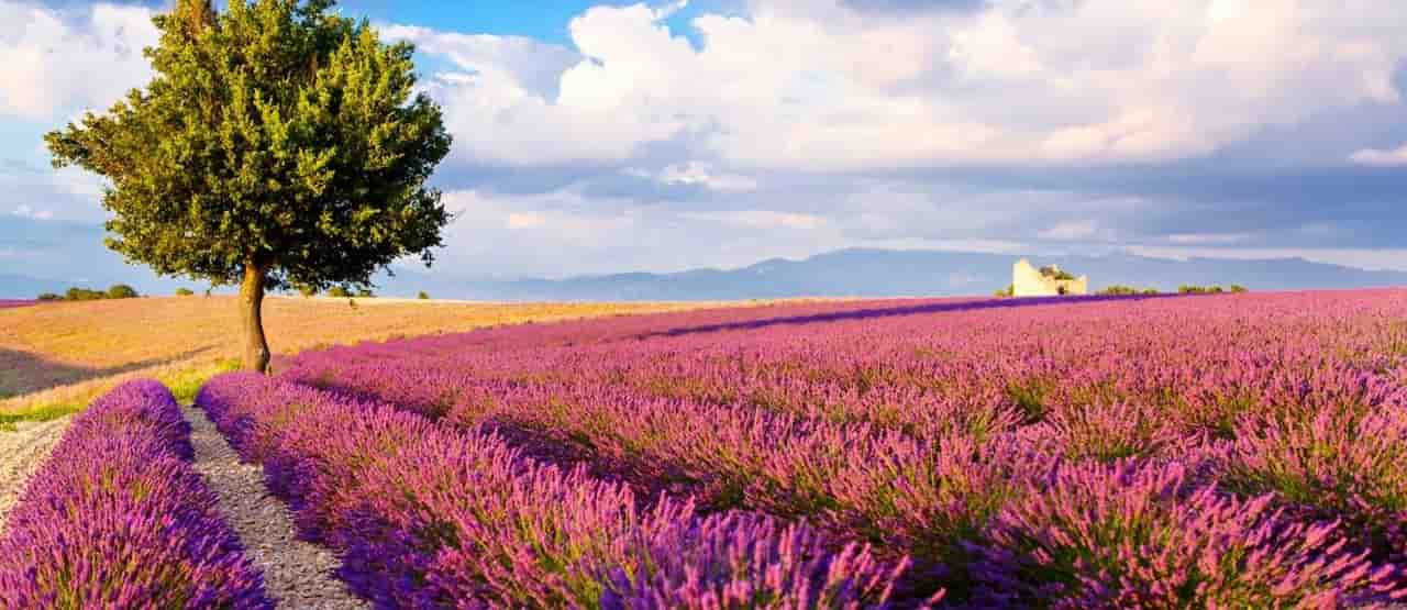 what is the best time to visit france Provence
