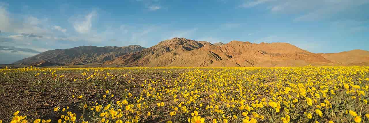 when is the best time to visit death valley Spring