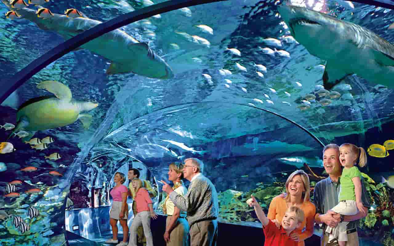 when is the best time to visit gatlinburg tennessee Ripleys Aquarium of the Smokies