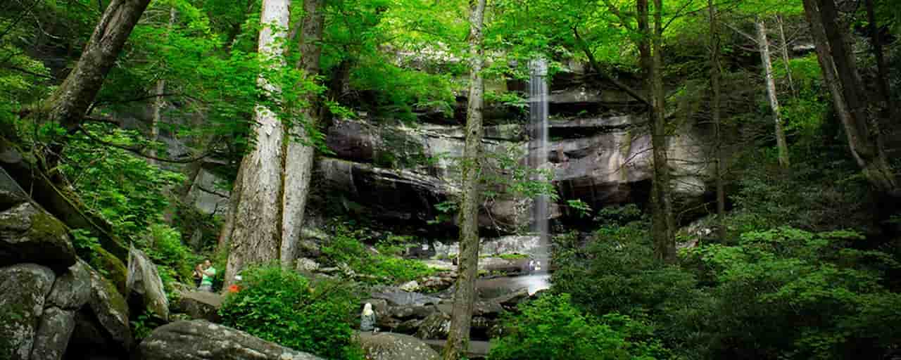 when is the best time to visit gatlinburg tennessee Roaring Fork Motor Nature Trail