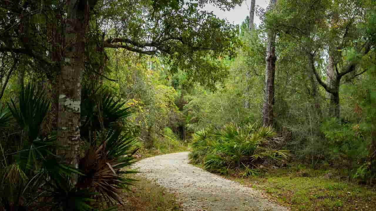 when is the best time to visit gulf shores alabama Bon Secour National Wildlife Refuge