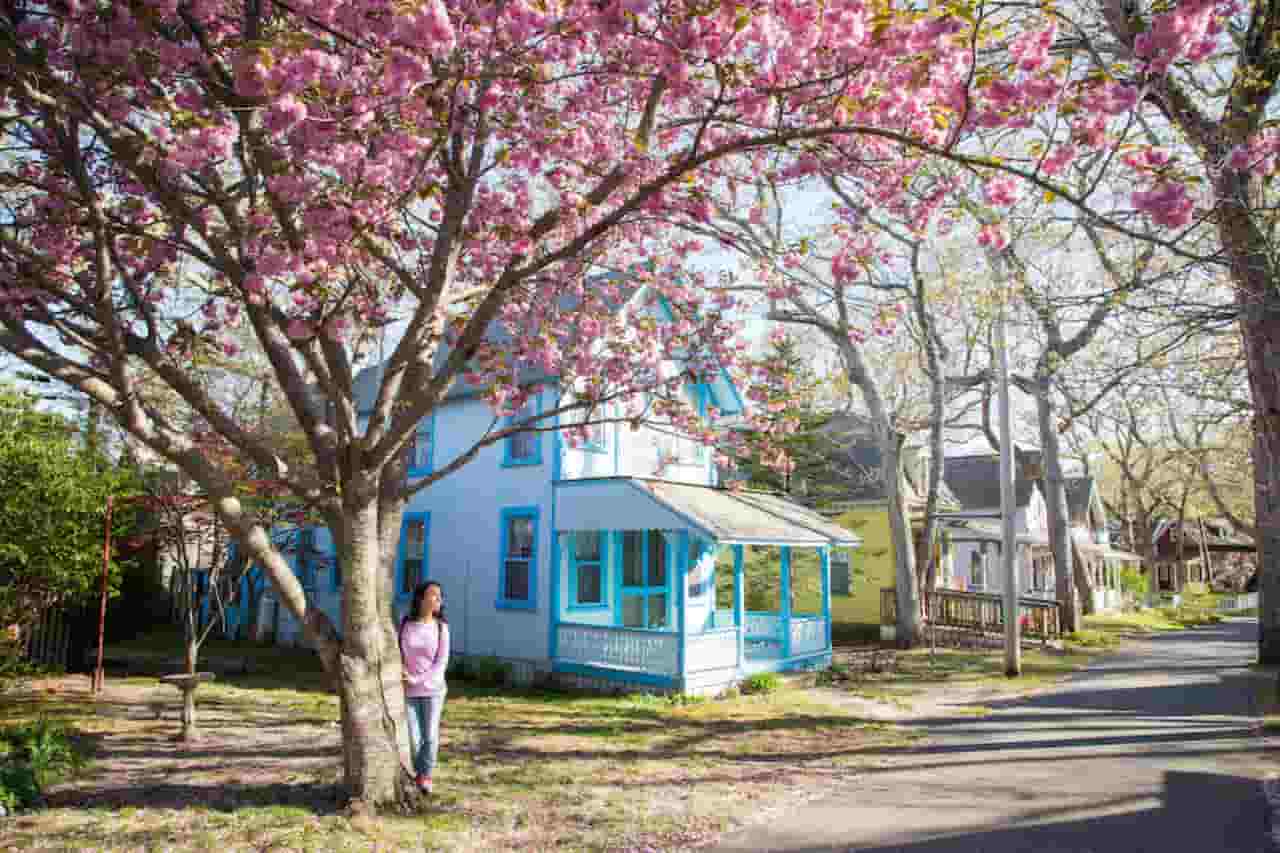 when is the best time to visit marthas vineyard Late Spring