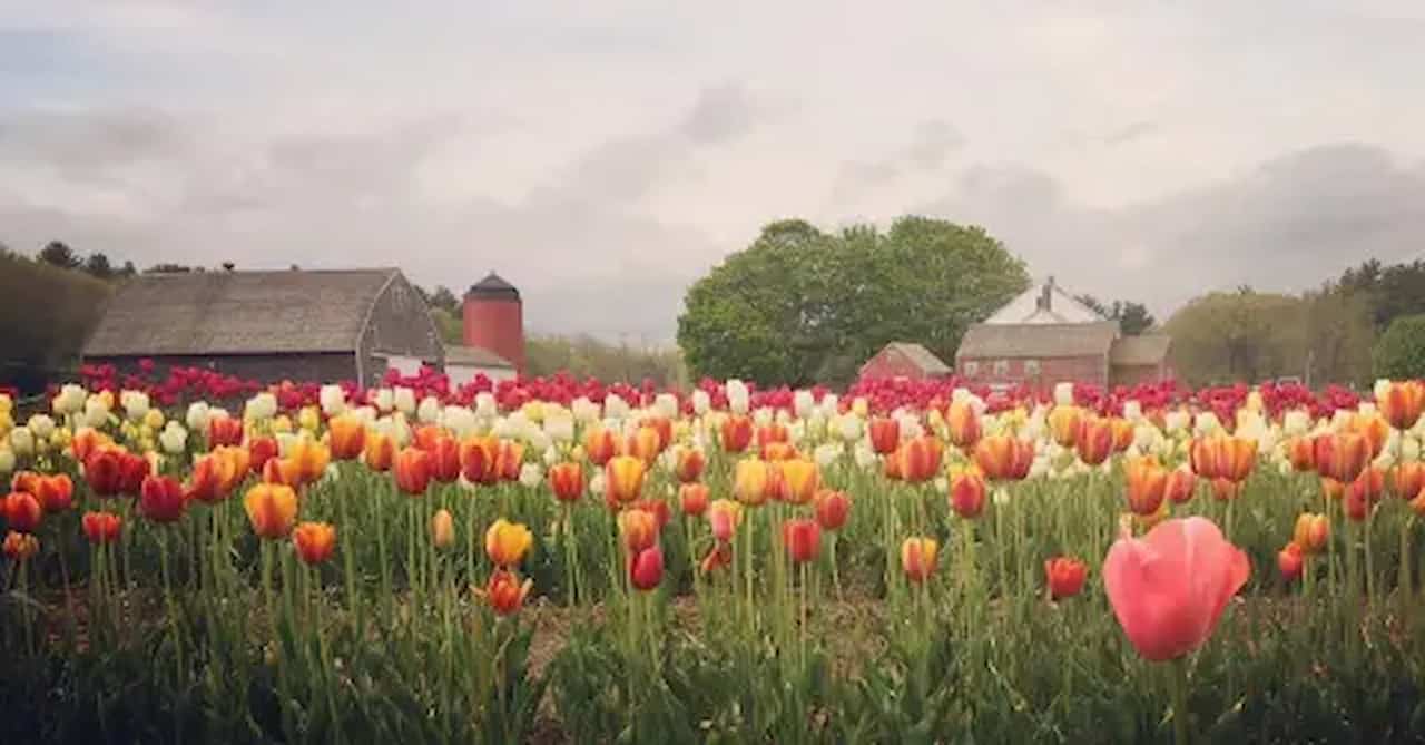 when is the best time to visit rhode island Spring