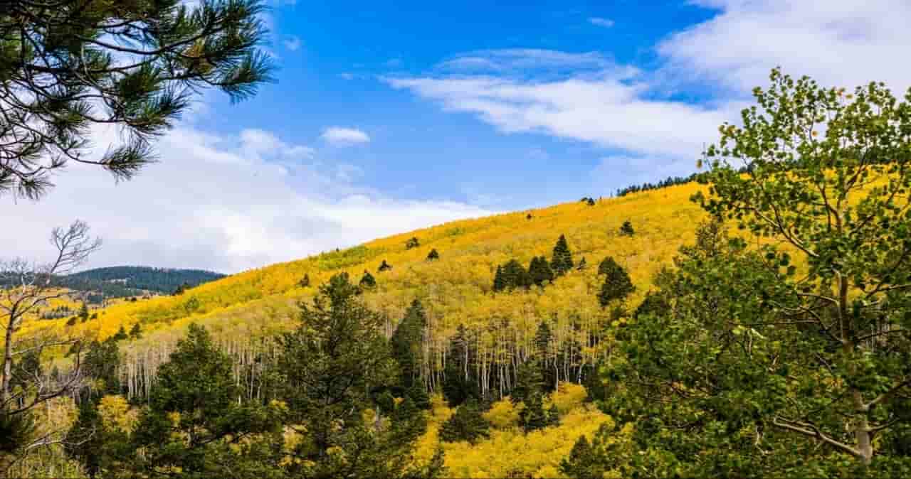 when is the best time to visit santa fe Fall