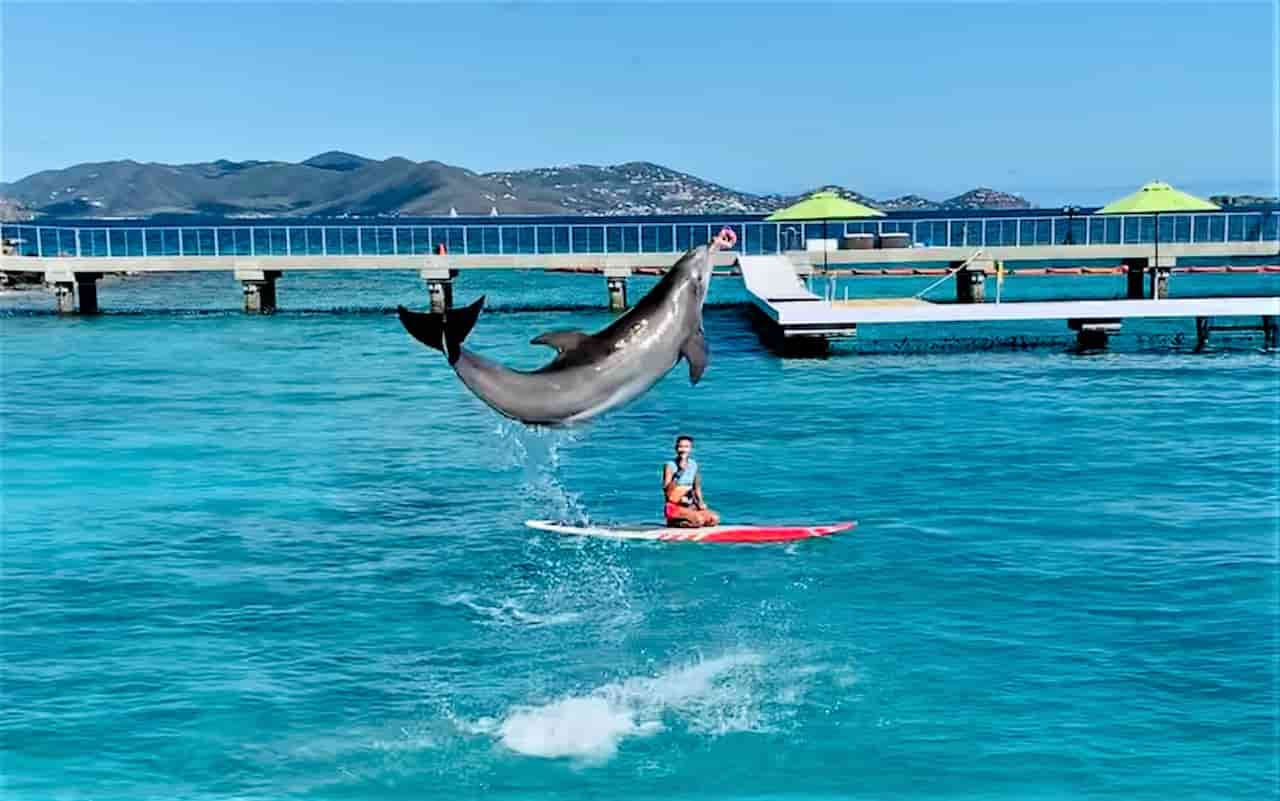 when is the best time to visit st thomas Coral World Ocean Park