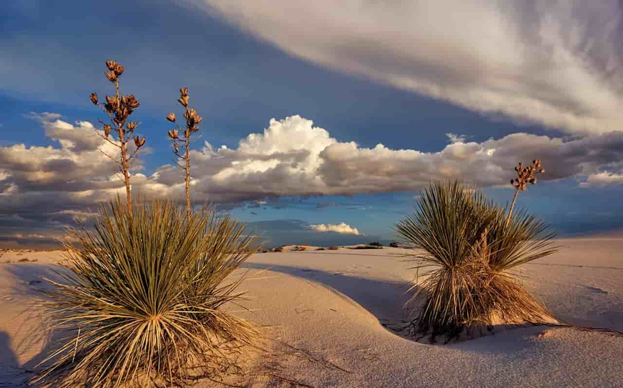 when is the best time to visit white sands national park Summer