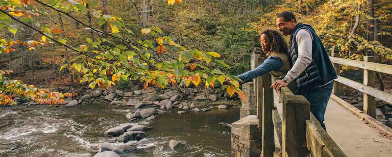 15 Washington DC Fall Guide Pumpkin Festivals Foliage