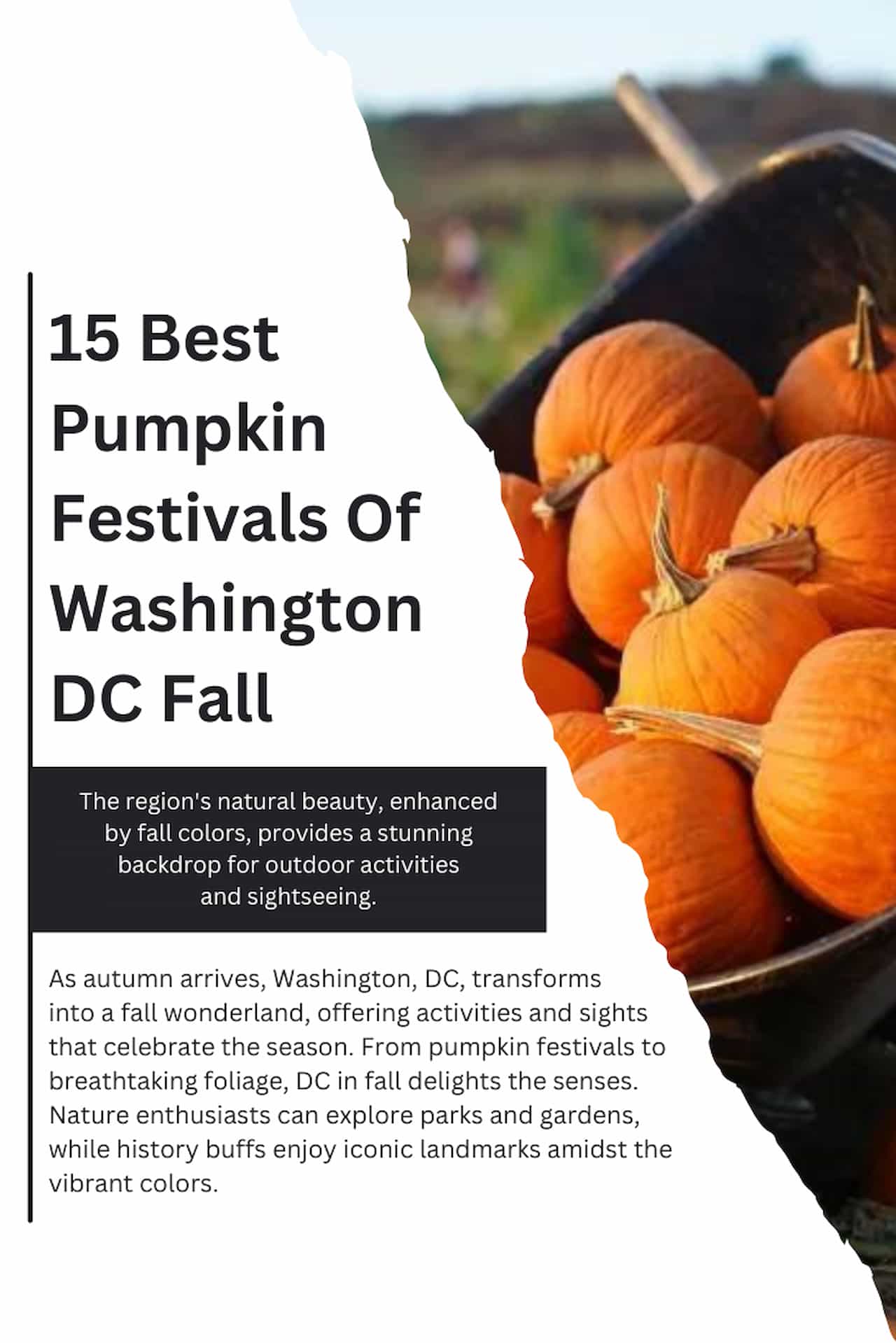 15 Washington DC Fall Guide Pumpkin Festivals Foliage