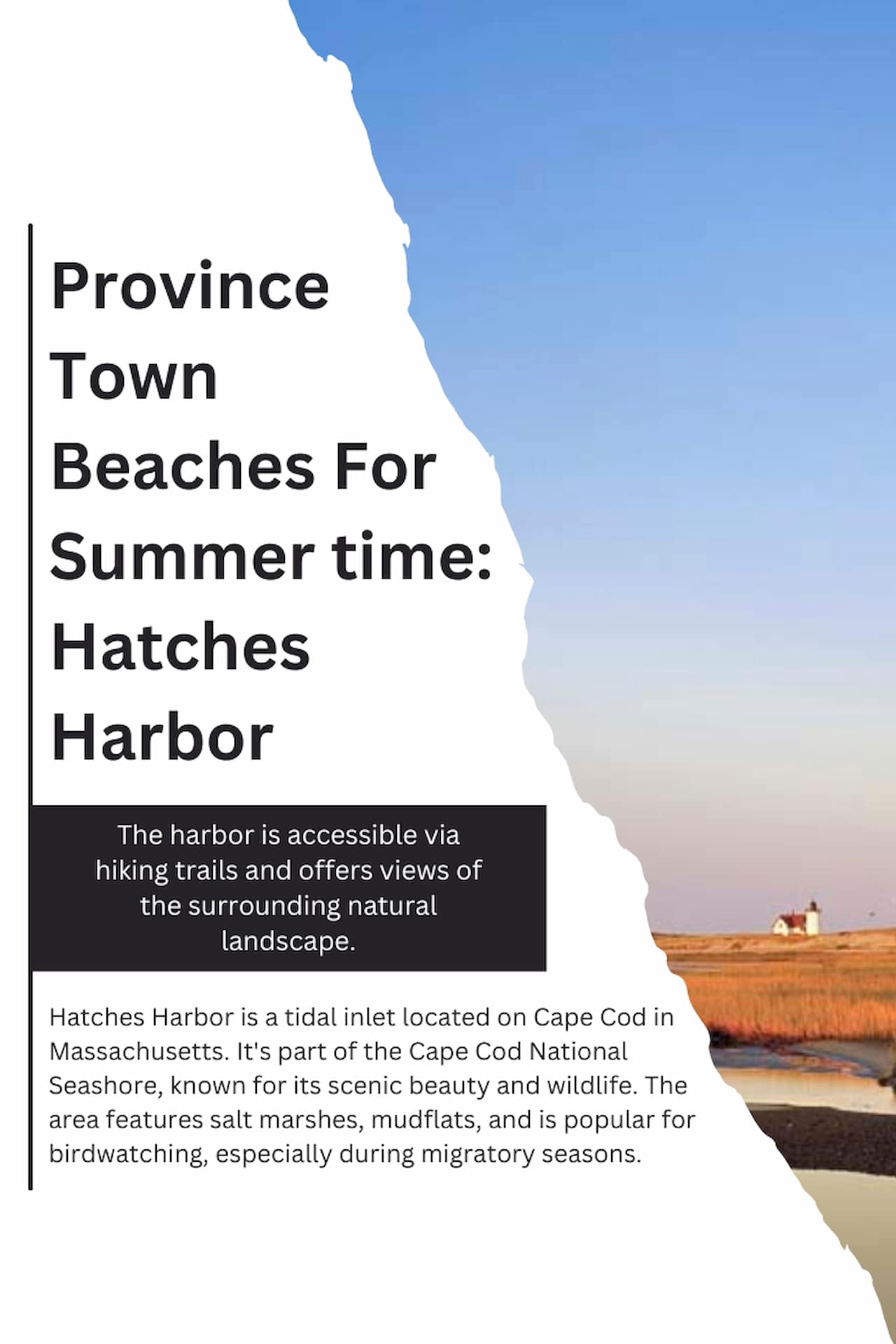 16 Best Provincetown Beaches For Summertime Fun Provincetown Beaches For Summer time Hatches Harbor