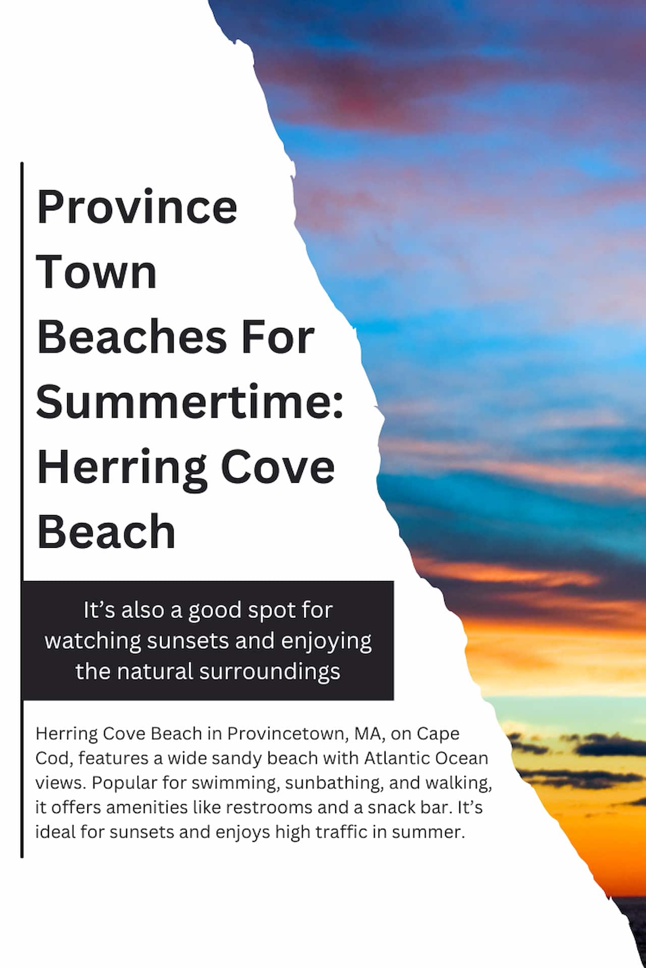 16 Best Provincetown Beaches For Summertime Fun Provincetown Beaches For Summer time Herring Cove Beach