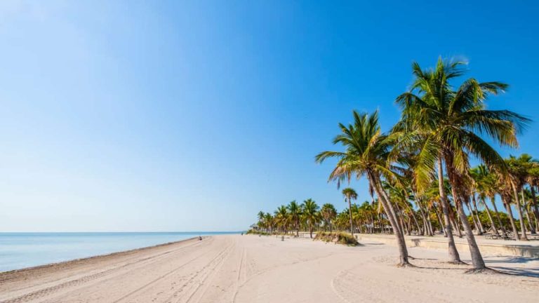 20 Delightful Activities In Celebration FL Year Round